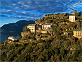 Corse Corse