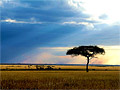 Kenya Kenya