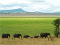 Tanzanie Tanzanie